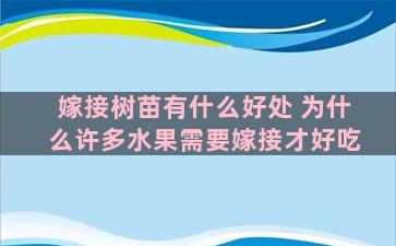 嫁接树苗有什么好处 为什么许多水果需要嫁接才好吃